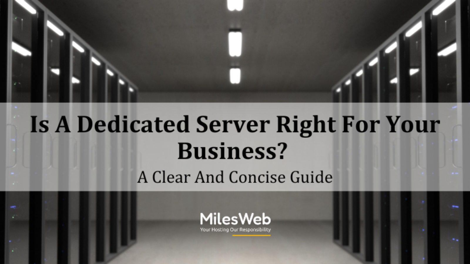 Is A Dedicated Server Right For Your Business